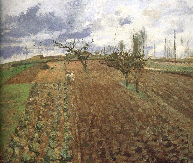 Camille Pissarro Farmland oil painting picture